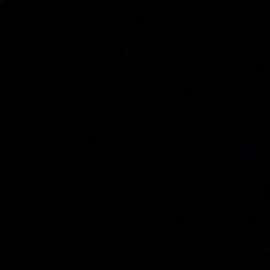 Meet your Posher, Ali